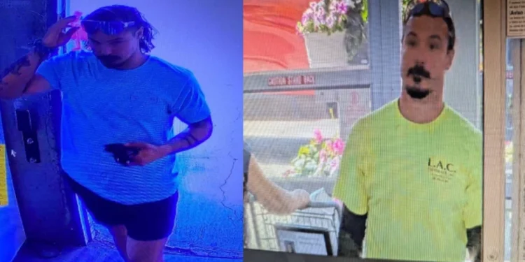 Possible Travis Decker Sighting Sparks Renewed Search Near Snoqualmie Pass