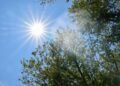 Western Washington Under Heat Advisory Through Tuesday as Temperatures Soar