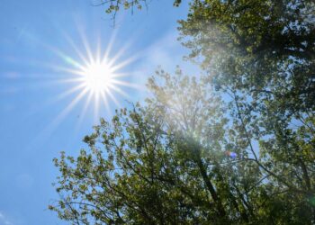 Western Washington Under Heat Advisory Through Tuesday as Temperatures Soar