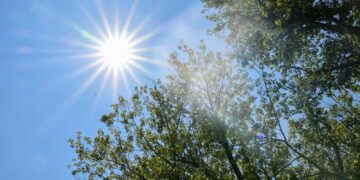Western Washington Under Heat Advisory Through Tuesday as Temperatures Soar