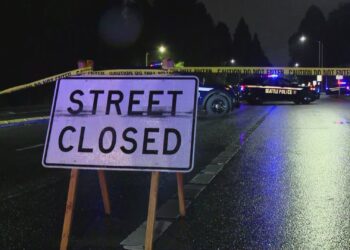 Pedestrian Killed Crossing Aurora Avenue North Near Woodland Park Zoo