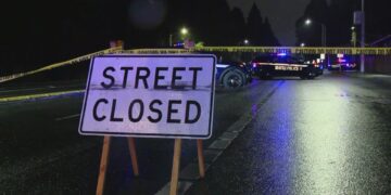 Pedestrian Killed Crossing Aurora Avenue North Near Woodland Park Zoo