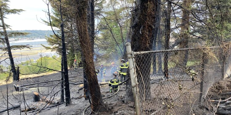 Beacon Hill Brush Fire Damages Four Homes, Injures Three Including Firefighter
