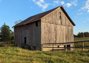 Indiana Mother Dies from Carbon Monoxide Poisoning While Using Gas Power Washer in Enclosed Barn