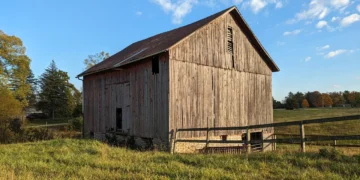 Indiana Mother Dies from Carbon Monoxide Poisoning While Using Gas Power Washer in Enclosed Barn