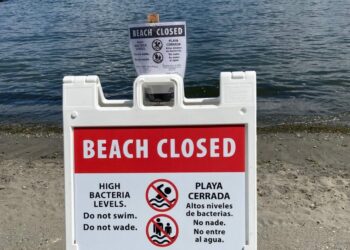 King County Closes Eight Beaches Due to High Bacteria Levels and Toxic Algae