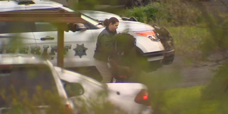 Pierce County Homeowner Fatally Shoots Suspected Intruder in Early Morning Incident