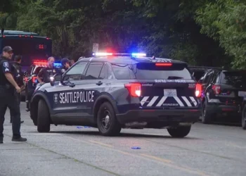 Convicted Felon Arrested Following Stabbing Attack in Chinatown-International District