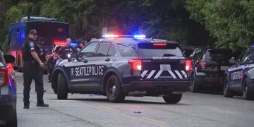 Convicted Felon Arrested Following Stabbing Attack in Chinatown-International District