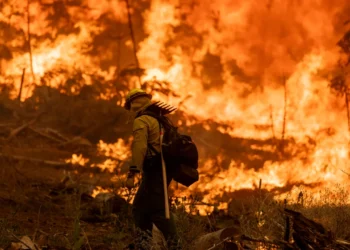 Washington Faces 14 Large Wildfires Amid Challenging Conditions