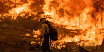 Washington Faces 14 Large Wildfires Amid Challenging Conditions