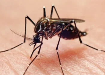West Nile Virus Cases Surge 40 Percent Above Normal Levels Nationwide