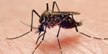 West Nile Virus Cases Surge 40 Percent Above Normal Levels Nationwide