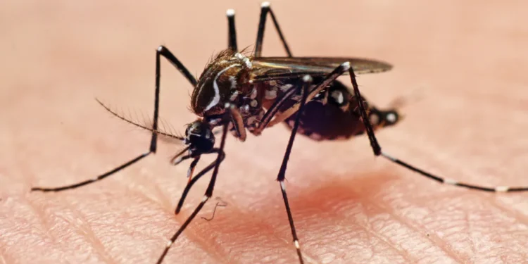 West Nile Virus Cases Surge 40 Percent Above Normal Levels Nationwide