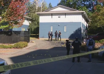 West Seattle Man Shot Multiple Times Near Roxhill Park, Suspect Remains At Large
