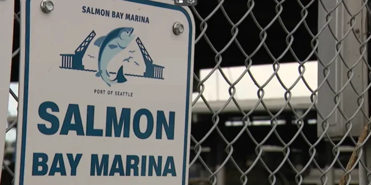 Port of Seattle to Close Three Salmon Bay Marina Docks by March 2026 Due to Safety Concerns