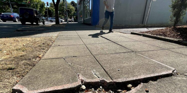 Lacey Launches Major Sidewalk Improvement Project with 160-Day Construction Timeline