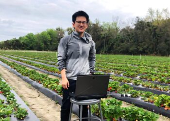 WSU Researchers Create Air-Powered Robot for Strawberry Harvesting