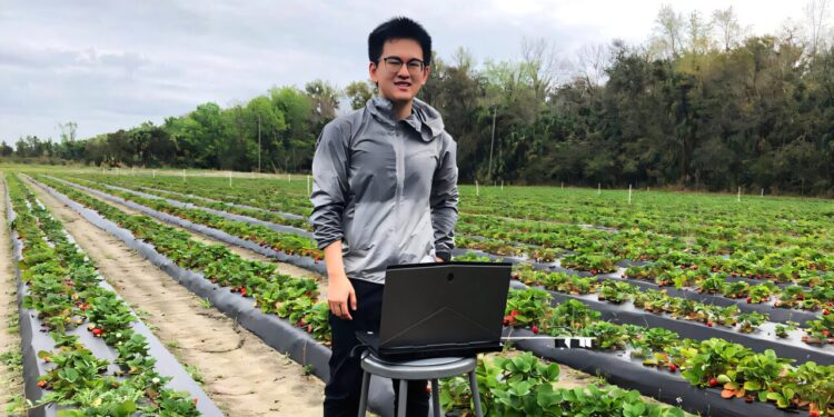 WSU Researchers Create Air-Powered Robot for Strawberry Harvesting