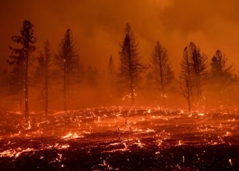 Washington Deploys Over 8,000 Firefighters to Combat 15 Active Large Wildfires