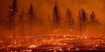 Washington Deploys Over 8,000 Firefighters to Combat 15 Active Large Wildfires