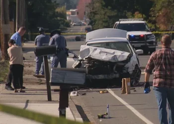Woman killed by speeding driver fleeing traffic stop in Parkland