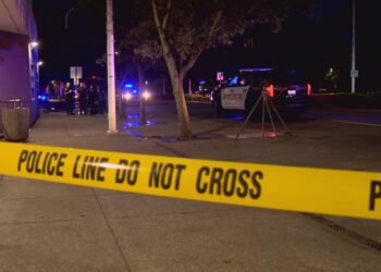 Seattle Woman Urges Door Locks After Carjacking Attempt as City Experiences Multiple Incidents