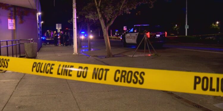 Seattle Woman Urges Door Locks After Carjacking Attempt as City Experiences Multiple Incidents