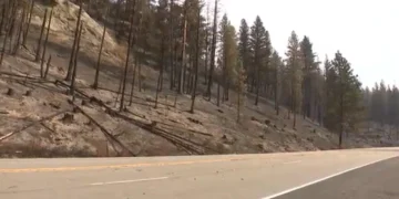 Western Washington Drought Persists Into October, Mid-Month Precipitation Possible