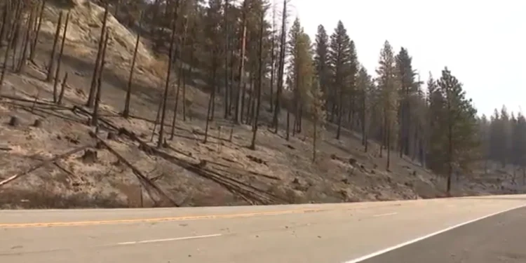 Western Washington Drought Persists Into October, Mid-Month Precipitation Possible