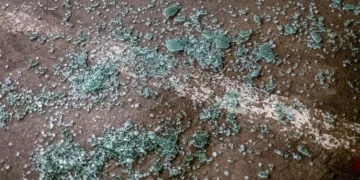 Man Arrested After Throwing Rock Through Tukwila Business Window, Injuring Employee