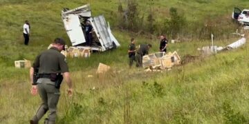 Truck Carrying Research Monkeys Crashes in Mississippi, Three Primates Still Missing After Initial Capture