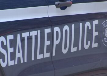 Man Suffers Severe Machete Injuries in North Seattle Attack, 20-Foot Blood Trail Found at Scene