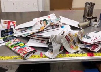 Renton Mailbox Thieves Strike as Holidays Near, Police Warn of Rising Theft Threat
