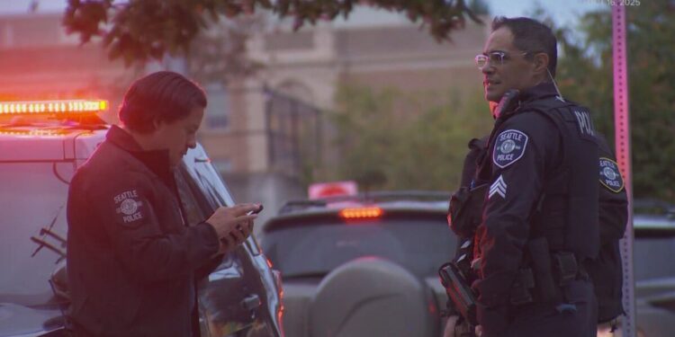 Seattle Mother Charged with First-Degree Murder in Stabbing Death of 4-Year-Old Autistic Son