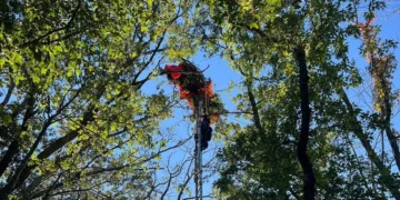 Skydiving Instructor Dies After Separation from Student Near Nashville, FAA Investigating