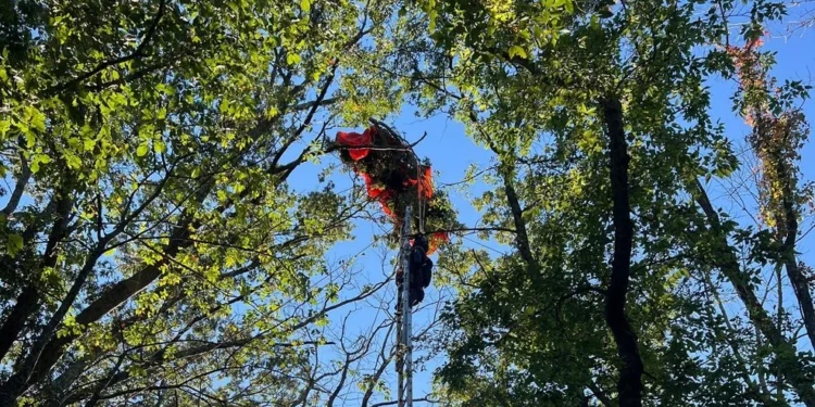 Skydiving Instructor Dies After Separation from Student Near Nashville, FAA Investigating