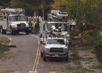 Around 20,000 Still Without Power After Windstorm Downs Trees Across Puget Sound Area