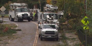 Around 20,000 Still Without Power After Windstorm Downs Trees Across Puget Sound Area