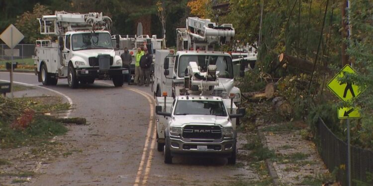 Around 20,000 Still Without Power After Windstorm Downs Trees Across Puget Sound Area