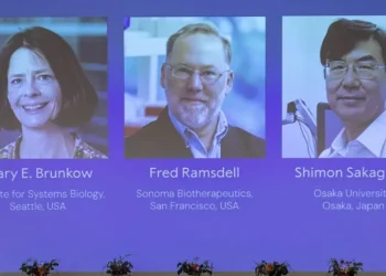 Seattle Scientist Mary Brunkow Wins Nobel Prize in Medicine for Immune System Research