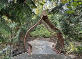West Seattle’s Salmon Bone Bridge Reopens After Second Phase of Restoration Project