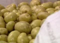 Seattle Food Bank Prepares Emergency Response as Government Shutdown Threatens Food Security