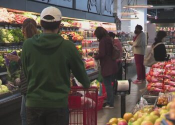 Federal Government Announces SNAP Food Benefits Will Not Be Issued November 1 as Shutdown Continues