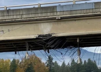 King County Official Proposes ‘Stupid Motorist Law’ After Series of Bridge Strikes on State Highways