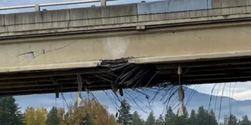 King County Official Proposes ‘Stupid Motorist Law’ After Series of Bridge Strikes on State Highways