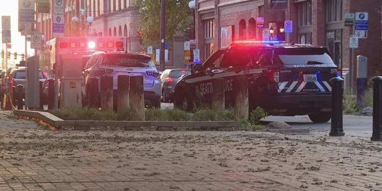 Seattle Annual Safety Survey Measures Neighborhood Crime Perceptions to Shape Police Strategy