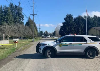 Seven Children Recovered Safely After Car Theft and Stabbing Attack Near Sequim, Parents Arrested