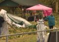 One Man Dead, Several Injured After Tree Falls onto Vendors at Pierce County Halloween Market