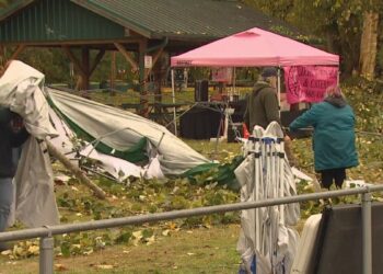 One Man Dead, Several Injured After Tree Falls onto Vendors at Pierce County Halloween Market
